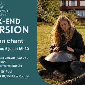 week-end immersion handpan chan